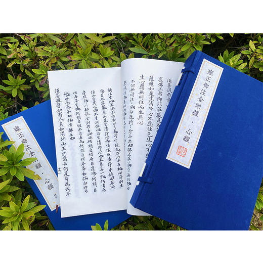 【微瑕 有黄斑】雍正御注金刚经·心经    [清]爱新觉罗•胤禛 注，石湛然 点校整理    1函2册 商品图3