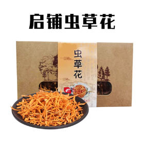 （乡村振兴商品）虫草花 
