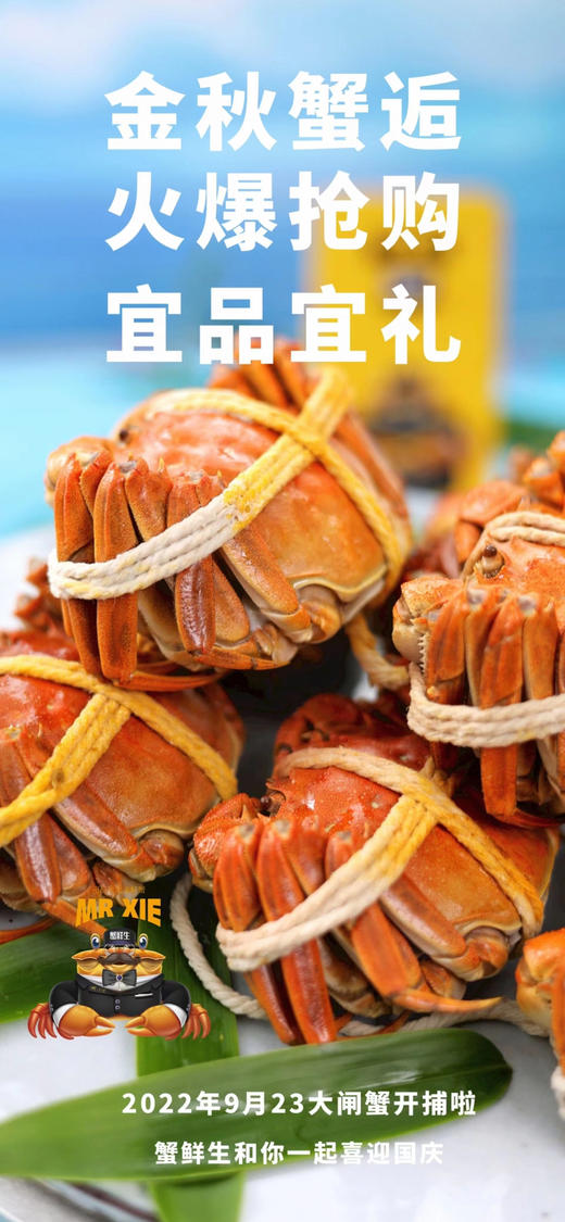 正宗阳澄湖大闸蟹（核心湖区）15年品牌保证【蟹鲜生】云南授权经销商（全国顺丰包邮） 商品图3