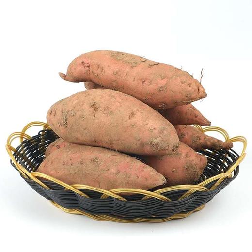 晋宝绿珍有机蜜薯红薯5斤装 商品图2