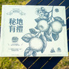 高原有机精品王林苹果 云南石林产  中通快递 商品缩略图1