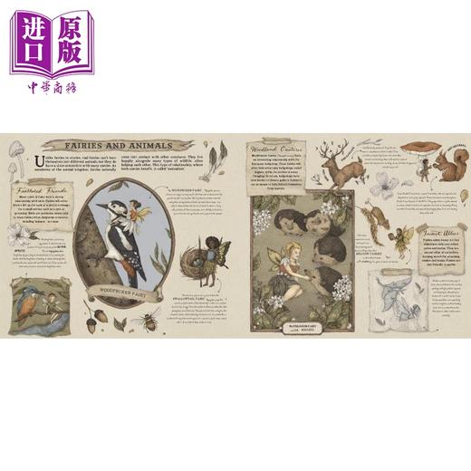 预售 【中商原版】花仙子主题儿童绘本2册套装 A Natural History of Fairies 仙境童话Flower Fairies Magical Doors 英文原版进口 商品图4