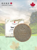 有机地球茶树冷法洁面皂75g 商品缩略图0
