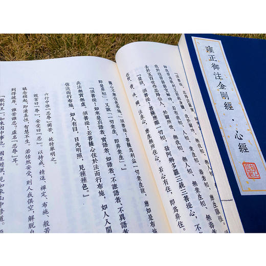 【微瑕 有黄斑】雍正御注金刚经·心经    [清]爱新觉罗•胤禛 注，石湛然 点校整理    1函2册 商品图6