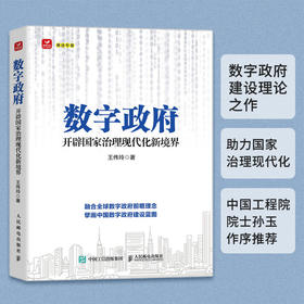 数字政府：开辟国家治理现代化新境界 王伟玲著数字中国政府数字化转型书籍治理现代化政务服务数字化转型