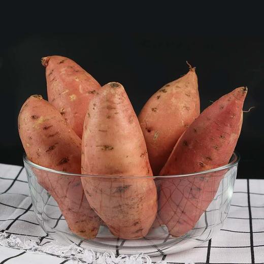 晋宝绿珍有机蜜薯红薯5斤装 商品图1