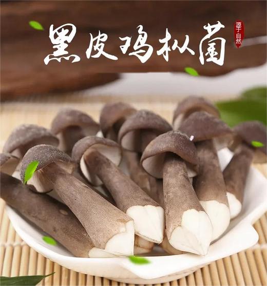 山东黑皮鸡枞菇250g 商品图0