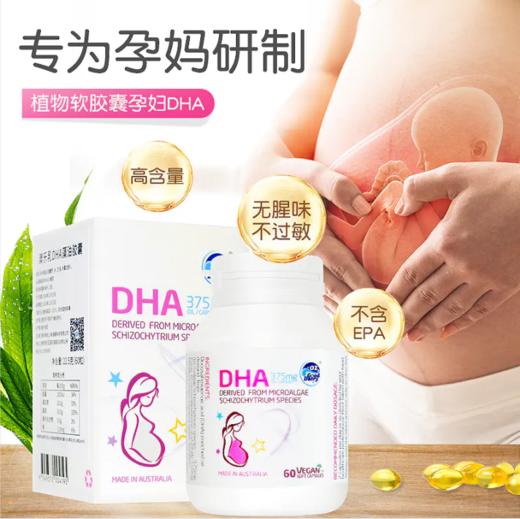 27.05.03【澳乐乳】孕妇DHA澳洲原装进口孕妇dha藻油胶囊备孕期孕期哺乳期孕早期 孕妇DHA60粒*1瓶 商品图2
