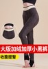 420g女士大版加绒加厚磨毛大弹力保暖小黑裤5184/5183 商品缩略图3