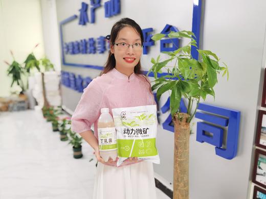 芳草 动力微矿 商品图1