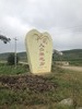 云南风化石人参果 商品缩略图1