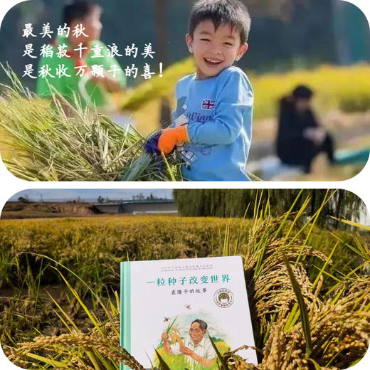 【田野小农夫亲子一日营】割水稻 | 打稻谷 | 运输晾晒 | 知农事，惜农辛，萌娃出击，田园之行正当时！ 商品图1