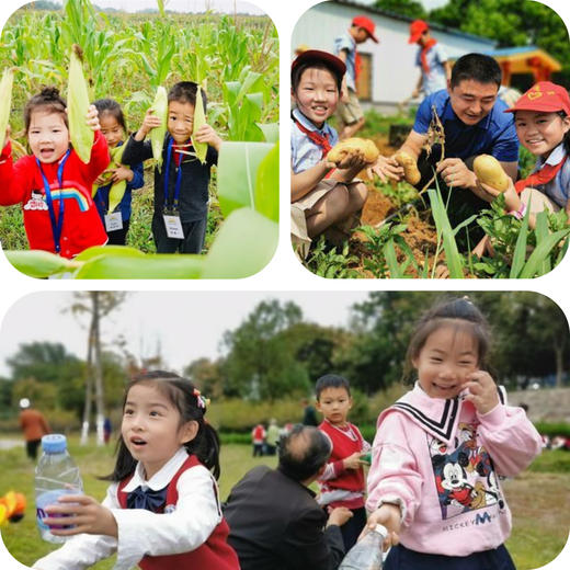 【田野小农夫亲子一日营】割水稻 | 打稻谷 | 运输晾晒 | 知农事，惜农辛，萌娃出击，田园之行正当时！ 商品图2