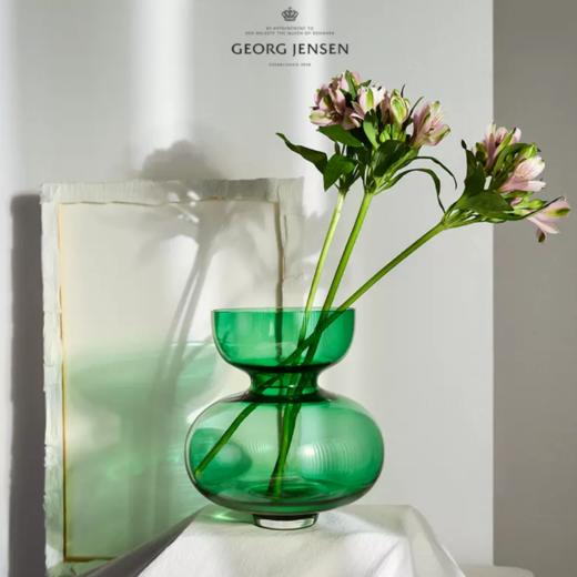 Georg Jensen乔治杰生摆件客厅插花玻璃花瓶北欧鲜花生日乔迁礼物 商品图1