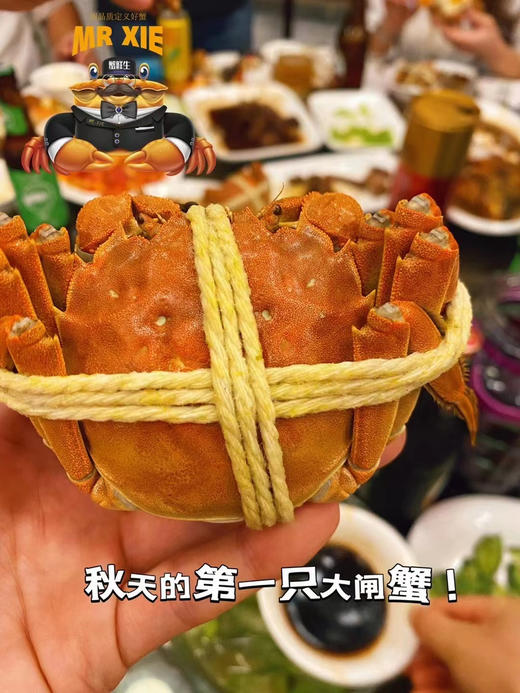2025‘蟹鲜生’阳澄湖大闸蟹，核心阳澄湖产区，只做高品质大闸蟹！送长辈、领导、亲友，高端大气，商务部备案有保障 商品图11