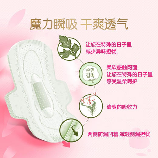 韩国贵艾朗卫生巾夜用33cm/片12片/包/111930 自然草本成分呵护珍贵女人 商品图1
