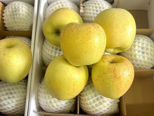 雀斑美人 商品图0