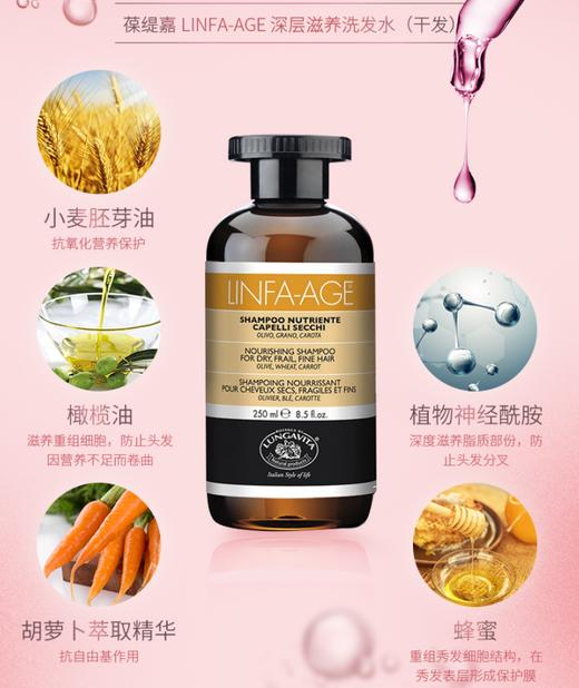 意大利葆缇嘉LINFA琳法头部SPA修护香波250ml HN 商品图1