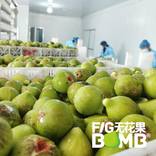 0添加烘烤青皮无花果干丨配料只有青皮无花果！树上熟鲜果加工，软糯清甜有糖油，糯叽叽甜蜜蜜。     圆通快递 商品图11