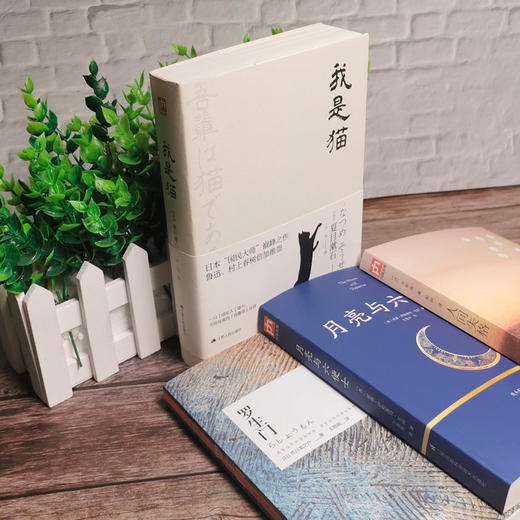 人间失格+罗生门+月亮与六便士+我是猫4册外国小说毛姆太宰治夏目漱石芥川龙之介 商品图3