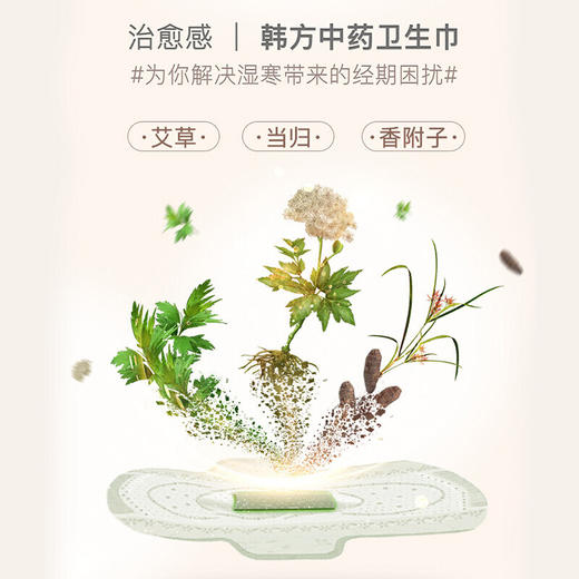 韩国贵艾朗卫生巾小号21CM/片18片/包/111927 韩方草药配方去除异味 商品图3