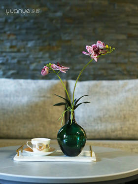 仿真花摆件仿真蝴蝶兰小盆栽假花酒店客厅桌面玄关花卉装饰摆设花