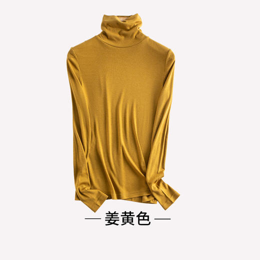 ARN-Y161高领针织真丝打底衫薄款保暖秋冬女修身长袖纯色上衣百搭舒适 商品图5