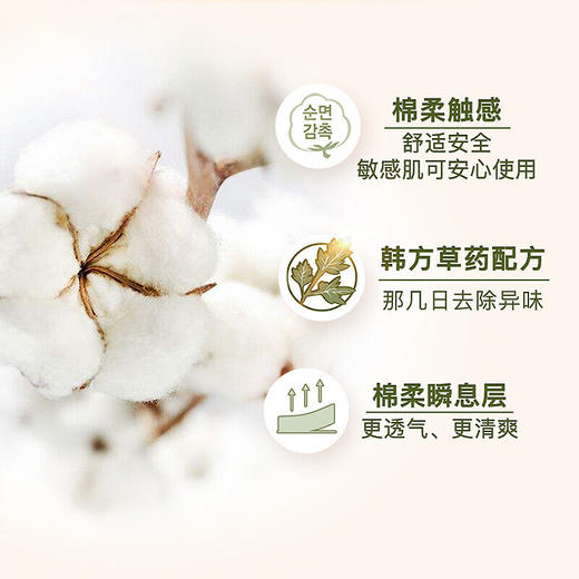 韩国贵艾朗卫生巾中号25cm/片18片/包/111928 轻柔舒爽好呼吸中草药配方 商品图2