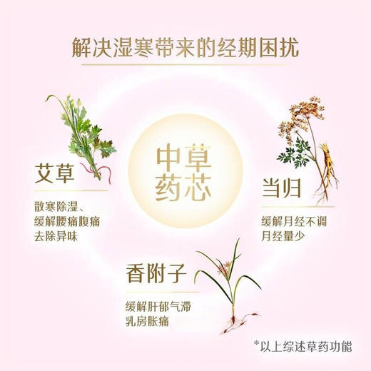 韩国贵艾朗卫生巾夜用33cm/片12片/包/111930 自然草本成分呵护珍贵女人 商品图2