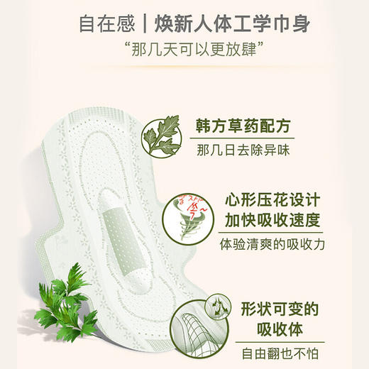 韩国贵艾朗卫生巾中号25cm/片18片/包/111928 轻柔舒爽好呼吸中草药配方 商品图1