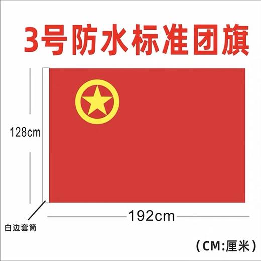 中国共青团团旗标准一号二号三号四号五号纳米防水防晒户外室内团旗悬挂手持装饰1面 商品图9