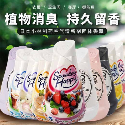 KOBAYASHI小林制药空气清新剂 150g 商品图0