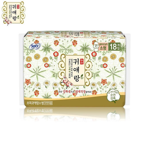 韩国贵艾朗卫生巾小号21CM/片18片/包/111927 韩方草药配方去除异味 商品图0