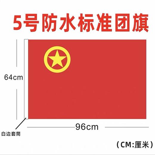 中国共青团团旗标准一号二号三号四号五号纳米防水防晒户外室内团旗悬挂手持装饰1面 商品图11