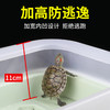养乌龟专用缸家用龟缸乌龟饲养缸小乌龟专用缸爬台晒台乌龟缸 商品缩略图3