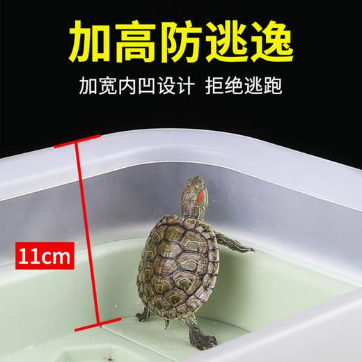 养乌龟专用缸家用龟缸乌龟饲养缸小乌龟专用缸爬台晒台乌龟缸 商品图3