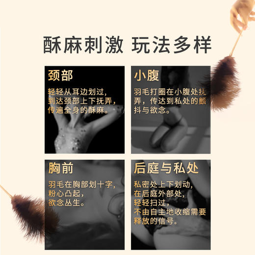 missfun高端调情羽毛棒 TK挠脚心挠痒痒 商品图6