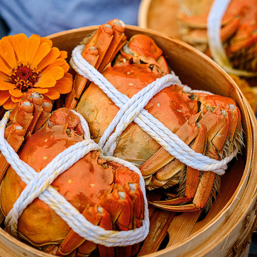 【阳澄湖活蟹现货  全母3.5两8只装】阳澄湖活蟹鲜活活蟹礼盒  全母蟹3.5两8只装   现货礼盒 蟹黄饱满 品质认证  顺丰专运 商品图1