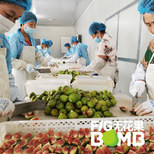 0添加烘烤青皮无花果干丨配料只有青皮无花果！树上熟鲜果加工，软糯清甜有糖油，糯叽叽甜蜜蜜。     圆通快递 商品图12