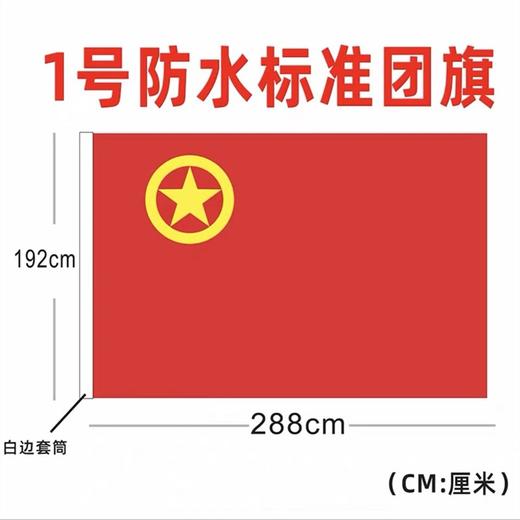 中国共青团团旗标准一号二号三号四号五号纳米防水防晒户外室内团旗悬挂手持装饰1面 商品图7