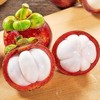 4A山竹 500g/份 商品缩略图1
