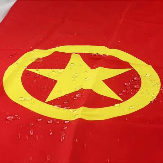 中国共青团团旗标准一号二号三号四号五号纳米防水防晒户外室内团旗悬挂手持装饰1面 商品图2