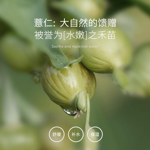圣雪兰薏仁水 湿敷爽肤化妆水女收毛孔 保湿补水收缩毛孔 商品图4