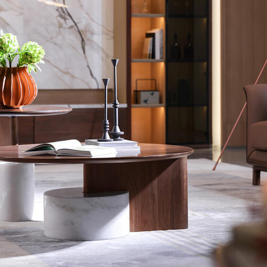 【现代风-CY224茶几】现代风/客厅/北美黑胡桃/实木&大理石 组合茶几 商品图1