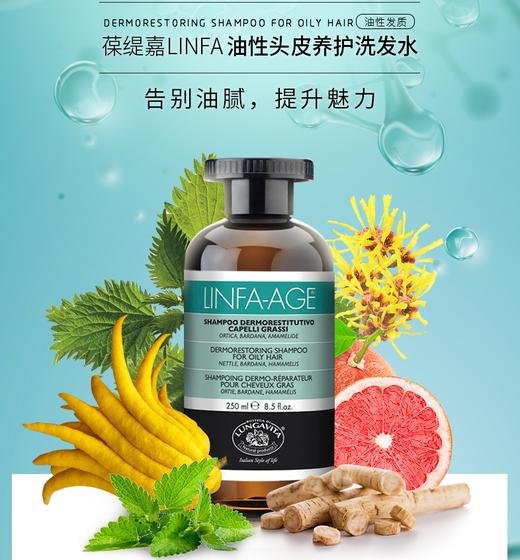 意大利葆缇嘉LINFA琳法头部SPA 控油香波250ml 商品图1