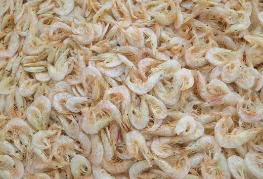 特级白虾皮500克 商品图3