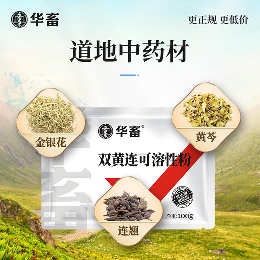 华畜 双黄连可溶性粉 清热解毒 感冒浓涕皮肤发红 畜禽通用 商品图2