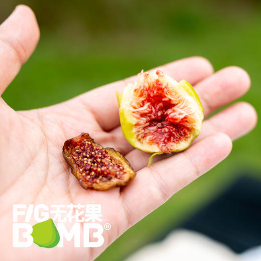 0添加烘烤青皮无花果干丨配料只有青皮无花果！树上熟鲜果加工，软糯清甜有糖油，糯叽叽甜蜜蜜。     圆通快递 商品图7