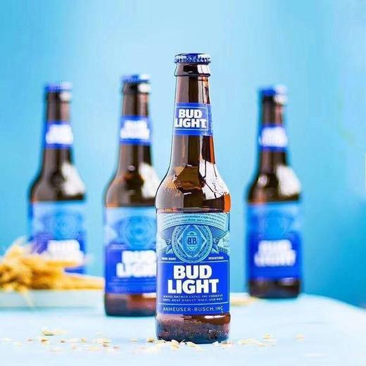 蓝色经典布德威轻啤275ml*1瓶/6瓶/12瓶 商品图4