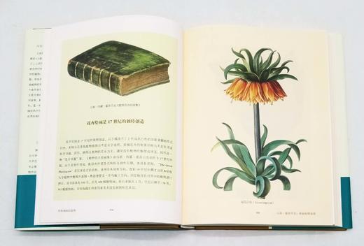 商务印书馆博物三种：

1、《发现最美的鸟》
2、《发现瑰丽的植物》
3、《花与树的人文之旅》

精装，16开，彩版，[英]马克.凯茨比等著，商务印书馆2016年左右版，三册总定价：294，售价140 商品图14